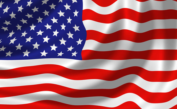 DJI Mini 3 Skin - USA Flag (Image 2)