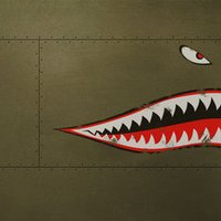DJI Avata Skin - USAF Shark (Image 2)