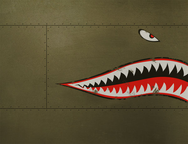 DJI Mini 3 Skin - USAF Shark (Image 2)